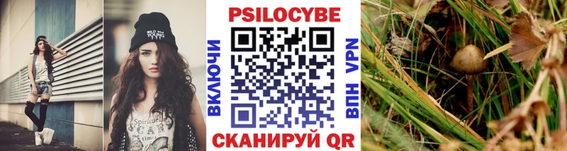 Псилоцибиновые грибы прущие грибы  что такое наркотик  дарк нет Telegram  Кудрово 